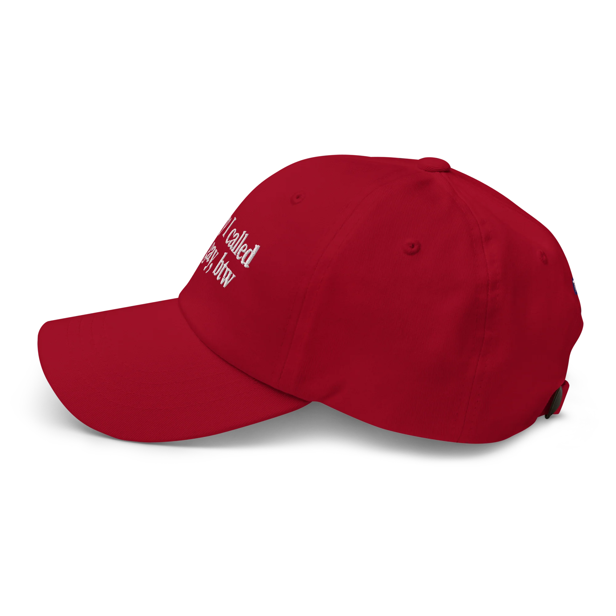 Sorry I Called You Gay Dad Hat - Red - Image 4